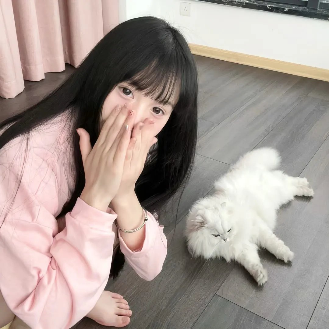 激情伴侣
