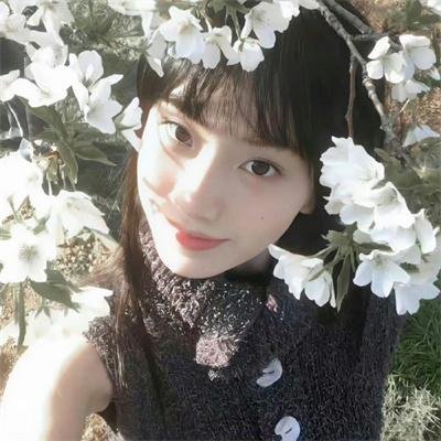 灵契第一季